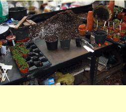 pottingbenchtoolsoftrade